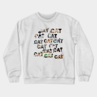 CATS CATS CATS - mixed cat breed oil painting word art Crewneck Sweatshirt